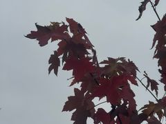 -白鹭湾湿地公园