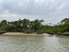 -东寨港红树林旅游区