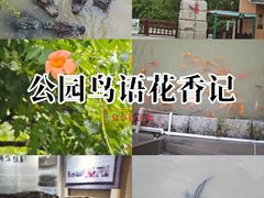 -中国扬子鳄村