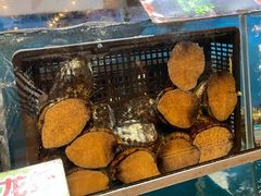 -尚竹阁冬瓜盅·18年地标美食(平洲店)