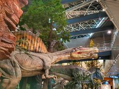 -湖南省地质博物馆