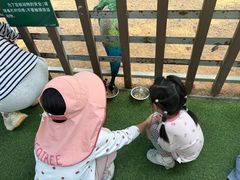 -深圳野生动物园