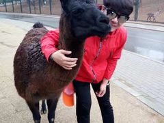 -大连森林动物园