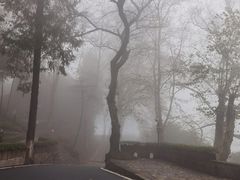 -莫干山风景区