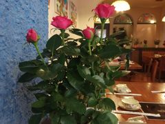 -绝城芋儿鸡(犀浦旗舰店)