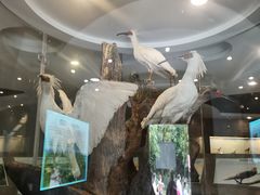 -下渚湖国家湿地公园科普馆