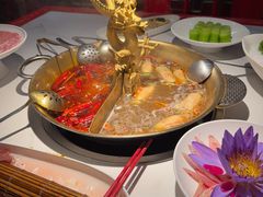 -小龙翻大江文化火锅(宽窄店)