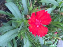 iphone_upload_pic-黔蘑菇四季餐厅(观山湖店)