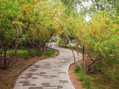 -莲花池公园