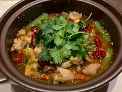 -皇朝会.经典传统粤菜(外滩店)