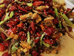 干煸鱿鱼须-普天和酒楼·新津菜·烤鸭(天津之眼店)