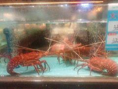-阿伟海鲜楼·福建菜(延寿店)