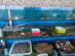 水产区-港畔赶海蒸汽海鲜烧烤自助(仙螺岛店)