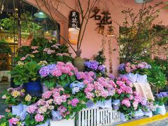 -溪岸路花鸟市场