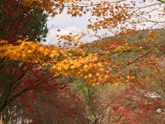 -穹窿山景区
