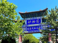 -西霞口神雕山野生动物世界