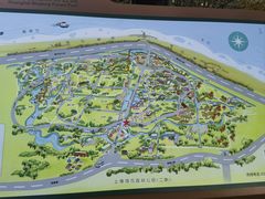 -上海滨江森林公园