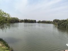 -苏州太湖国家湿地公园
