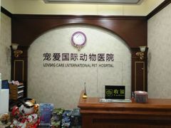 -宠爱国际动物医院· 猫科· 外科·中兽医(长白店)