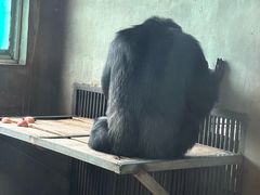 -秦皇岛野生动物园