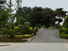 -上林马术中央公园·户外露营·团建·骑乘