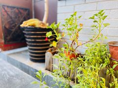 -陶野咖啡·面包披萨