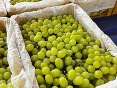 -马陆小张葡萄园农家乐