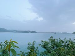 -望湖烤鱼