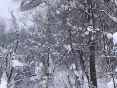 -亚布力新体委滑雪场