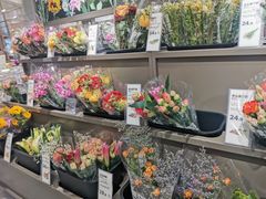 -鹿岛生活(熙地港店)