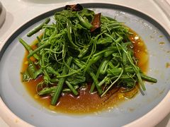 -香浙汇(望京店)