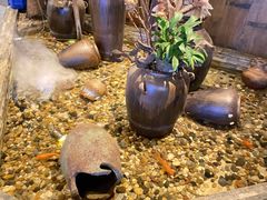 -同仁四季椰子鸡(宝安壹方城店)