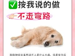 -美联众合动物医院·24h转诊中心