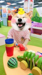 -莫莉幻想儿童乐园(郑州丹尼斯三天地店)