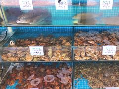 -晓伟海鲜家常菜