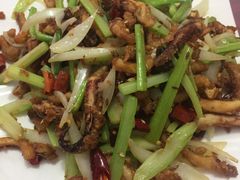 -烁佳海鲜大馅饺子