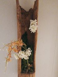 -香秀空间科技抗衰·美容中心