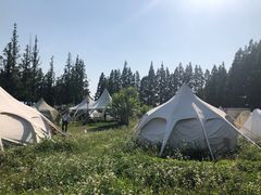 -前小桔亲子创意农场·草莓采摘·露营烧烤