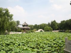 -莲池书院博物馆