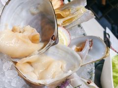 小象鼻蚌-围炉夜话·潮汕卤水火锅(榕江店)