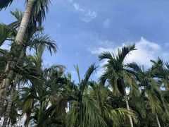 -七仙岭温泉国家森林公园