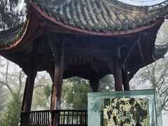 -子昂故里文化旅游区