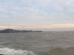 -鄱阳湖国家湿地公园