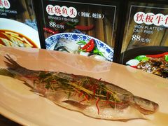 堂灼河豚鱼-农家小院(朱雀桥店)