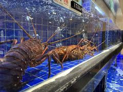 -粤珍轩.创始店.始于2001(含光门店)