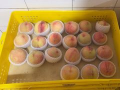 -老袁家蜜桃农场·阳山水蜜桃