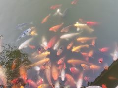 -檀园