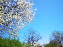 -永定河休闲森林公园