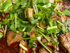 麻将牛肉面-下面馆