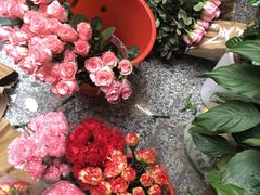 -本溪路花鸟市场(江浦路1709弄小区店)